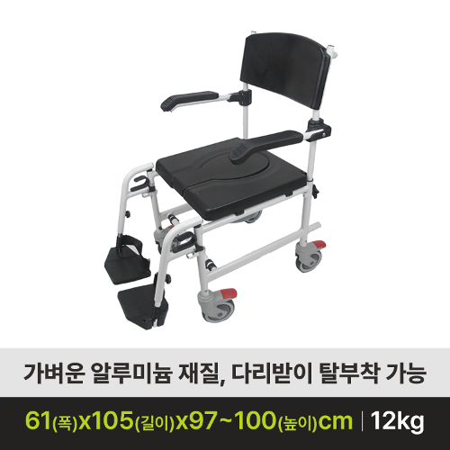 좌변기형 샤워 휠체어 목욕의자 좌변기휠체어 DS-BC6203 (CA6203L)