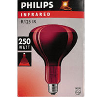 필립스 적외선 전구/램프 250W (적외선 조사기용)